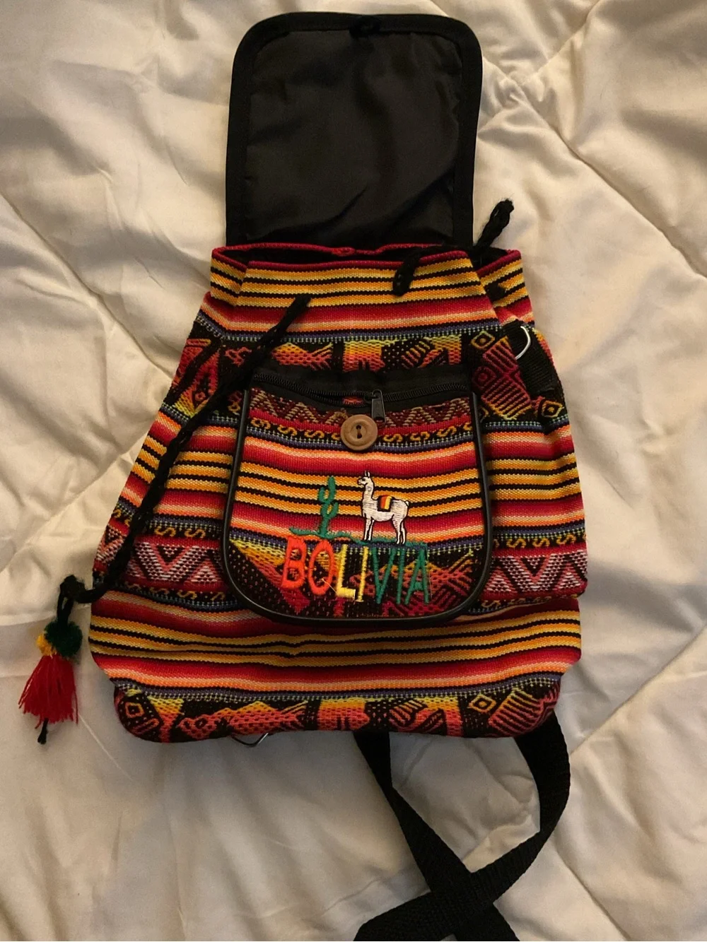 Bolivia Embroidered Multicolor Women's Mini Backpack